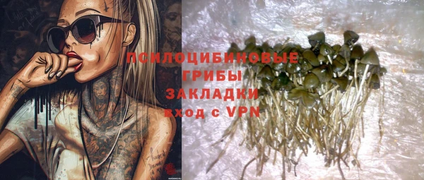 apvp Армянск