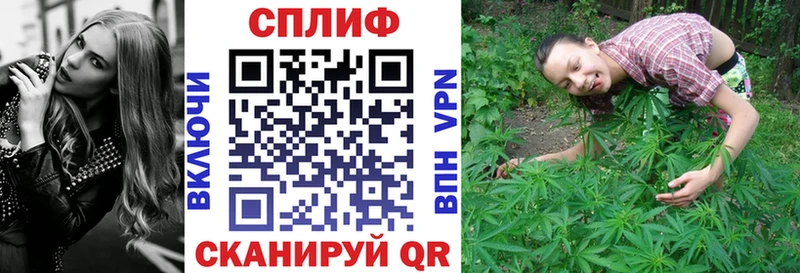 kraken вход Николаевск-на-Амуре Каннабис план